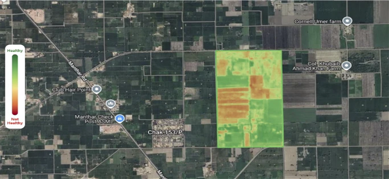 Why NDVI Alone Doesn't Tell You If a Crop Is Actually Stressed