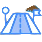 Infrastructure & Roads